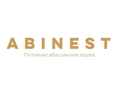 Питомник кошек Abinest