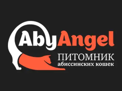 Питомник кошек AbyAngel