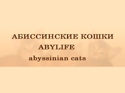 Питомник кошек Abylife