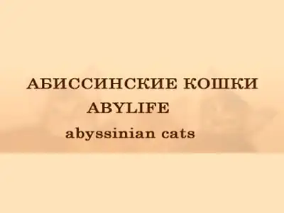 Питомник кошек Abylife