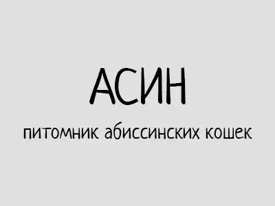 Питомник кошек Асин