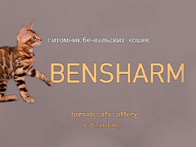 Питомник кошек Bensharm