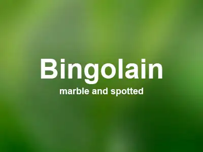 Питомник кошек Bingolain