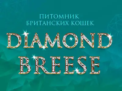 Питомник кошек Diamond Breese
