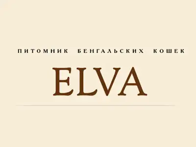 Питомник кошек Elva