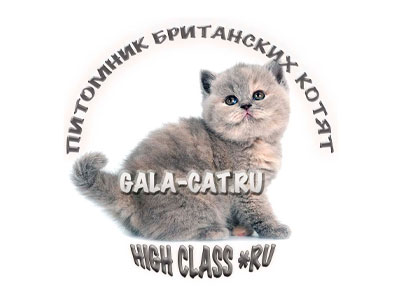 Питомник кошек Gala-cat