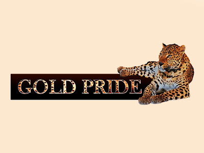 питомник кошек Gold pride