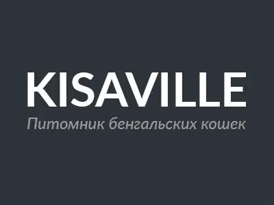 Питомник кошек KisaVille