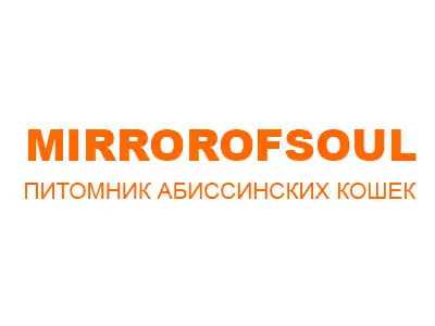 Питомник кошек Mirrorofsoul