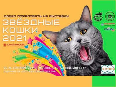 Международная выставка (МВК) "Звездные кошки - 2021"