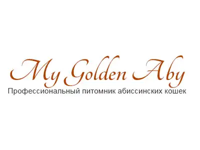 Питомник кошек My Golden Aby