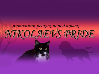 Питомник кошек Nikolaevs pride