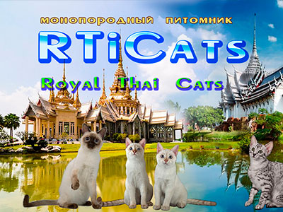 Питомник кошек RTiCats