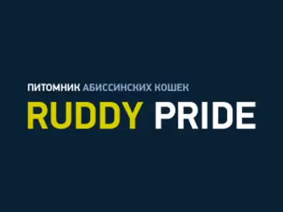 Питомники кошек Ruddy Pride