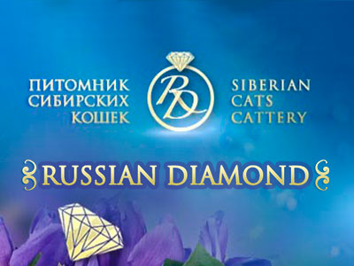 Питомник кошек Russian Diamond
