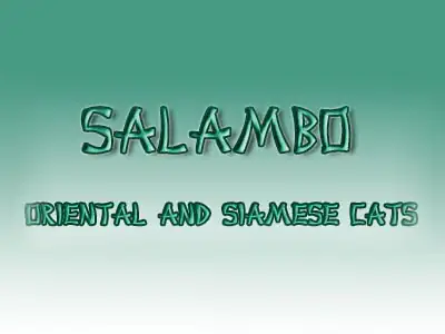 Питомник кошек Salambo