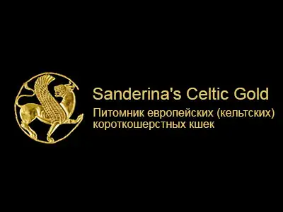 Питомник Sanderina’s Celtic Gold