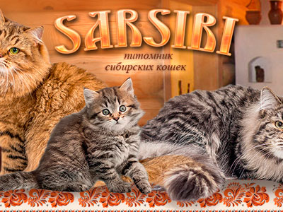 Питомник кошек SarSibi