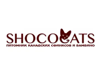 Питомник кошек Shococats