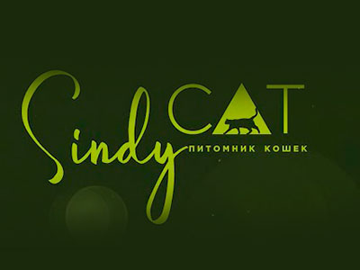 Питомник кошек Sindycat