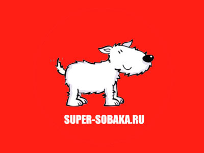 Приют для животных Супер-собака