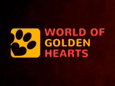 питомник кошек Мир Золотых Сердец